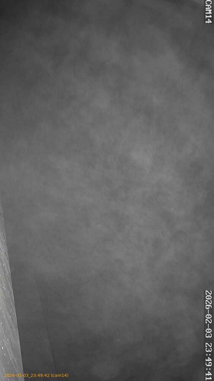 thumbnail_20260203234942