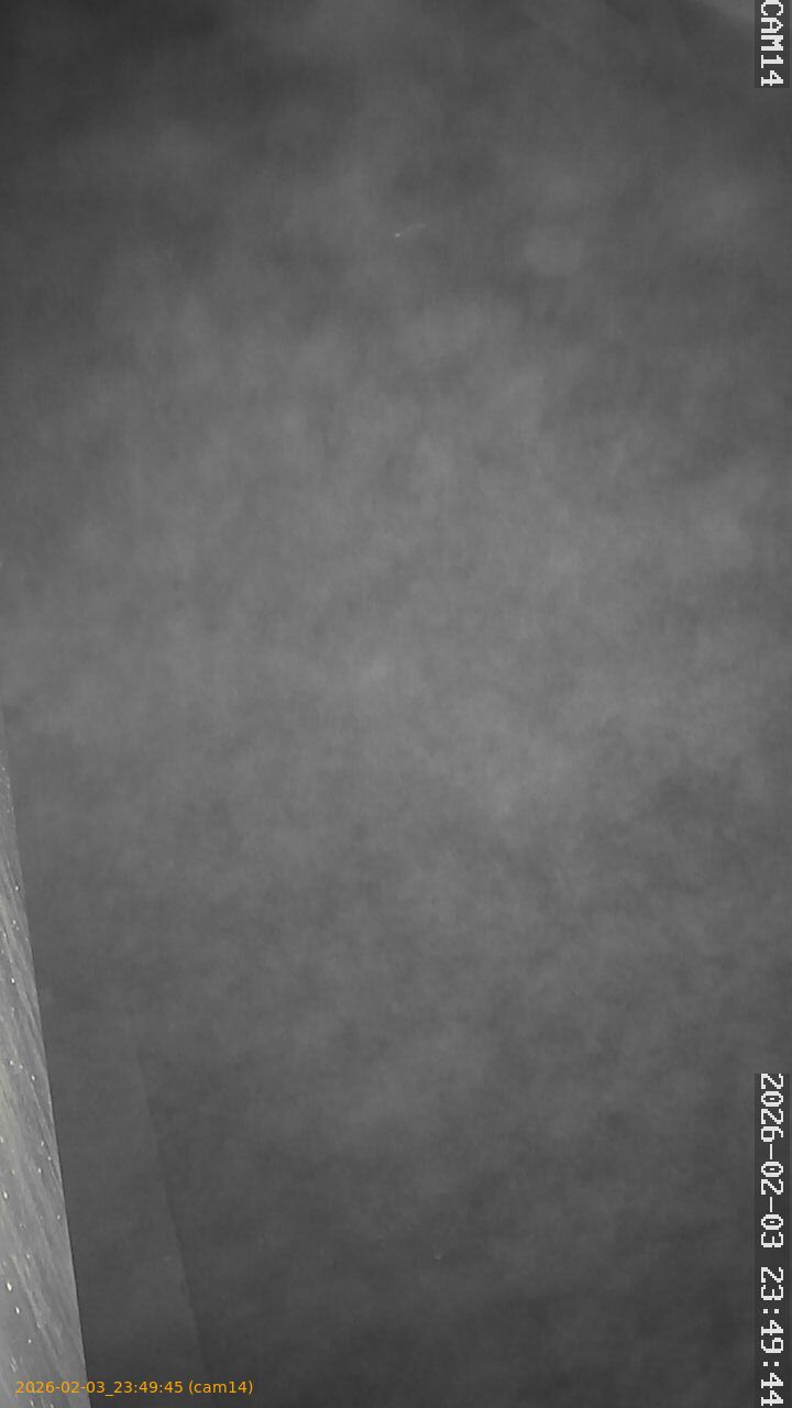 thumbnail_20260203234945