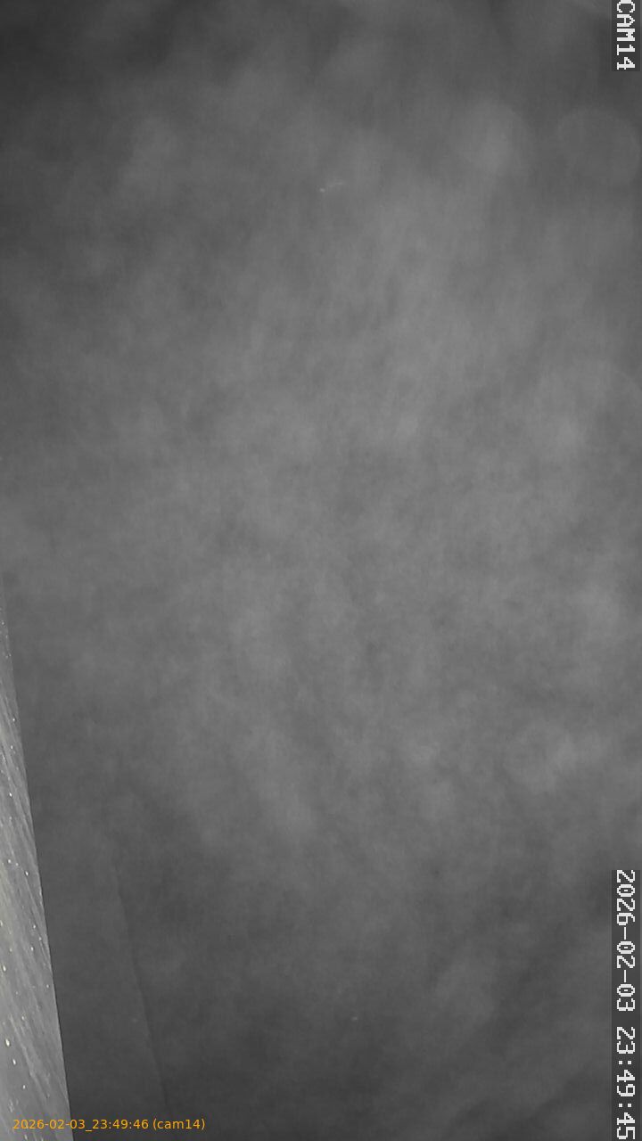 thumbnail_20260203234946