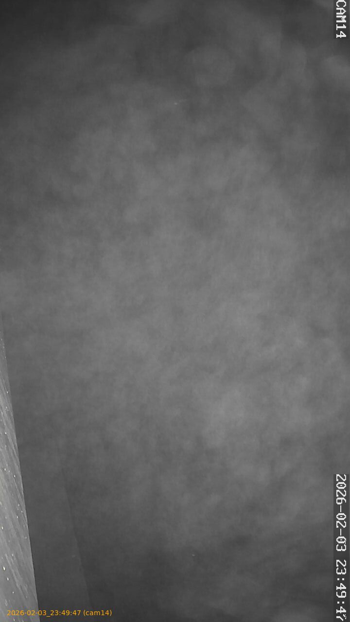 thumbnail_20260203234947