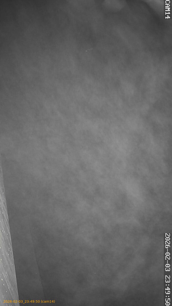 thumbnail_20260203234950