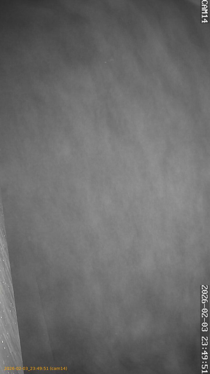 thumbnail_20260203234951