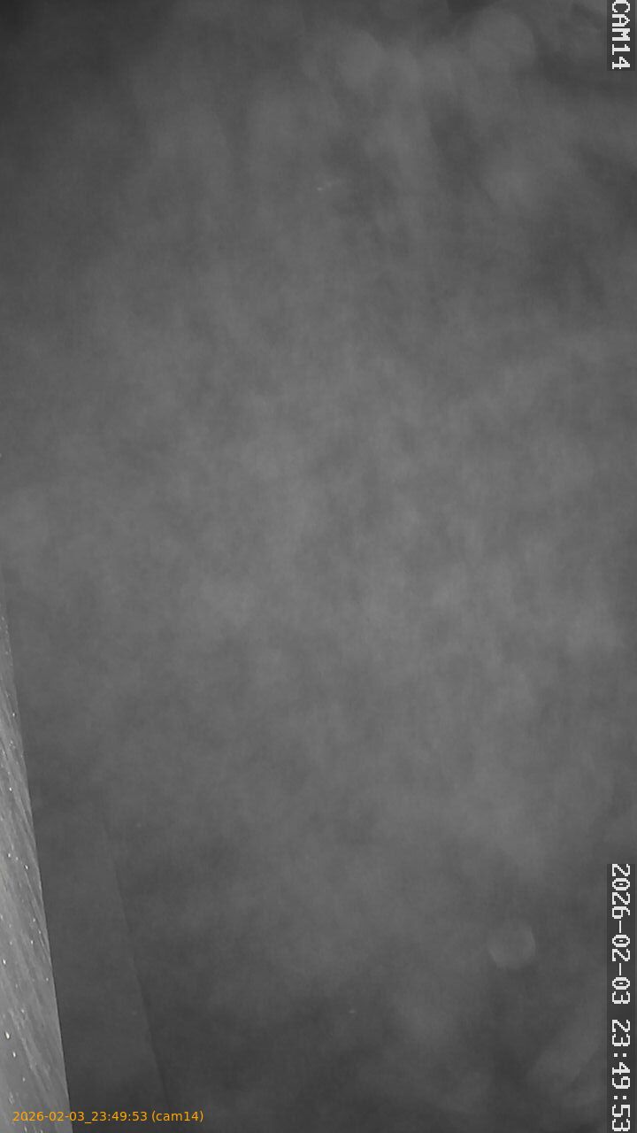 thumbnail_20260203234953