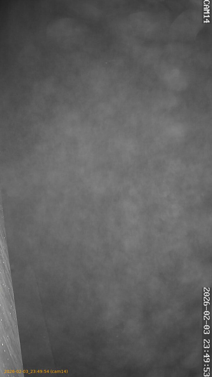 thumbnail_20260203234954