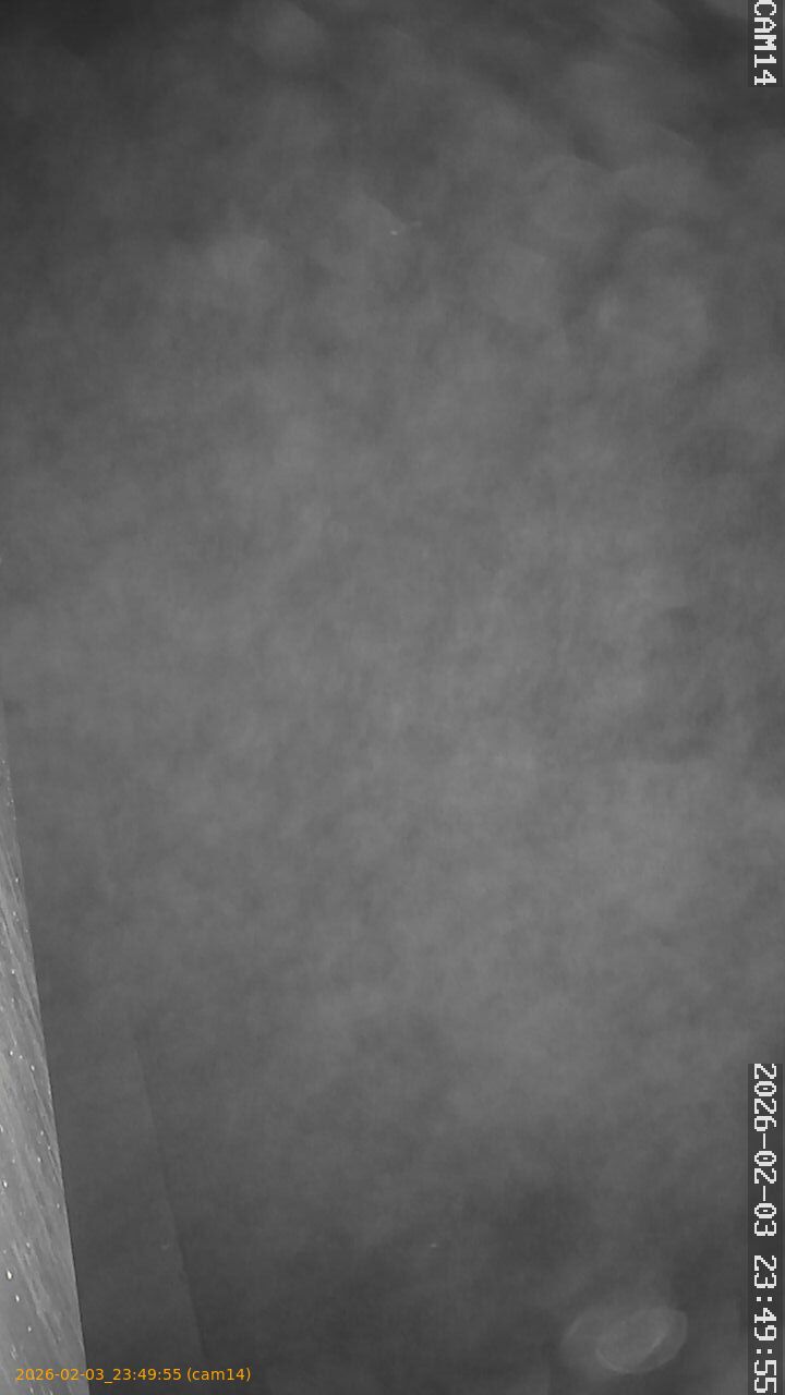 thumbnail_20260203234955