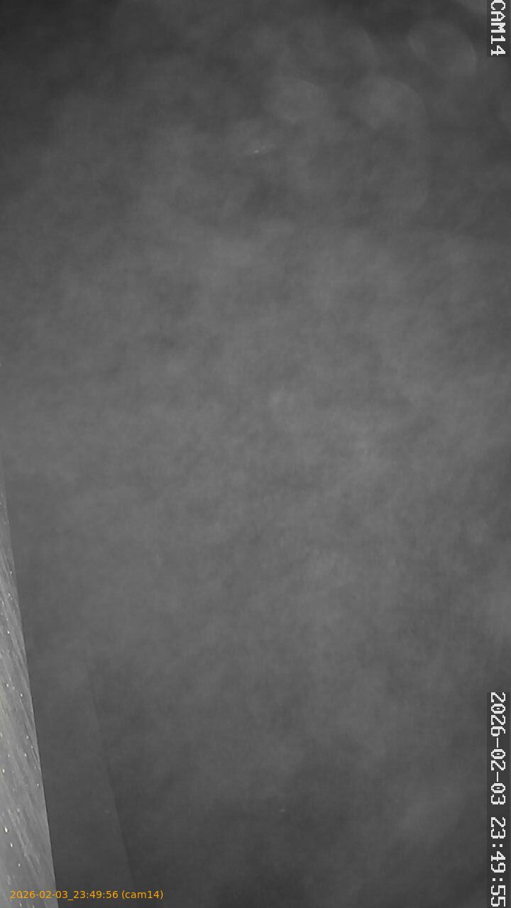 thumbnail_20260203234956