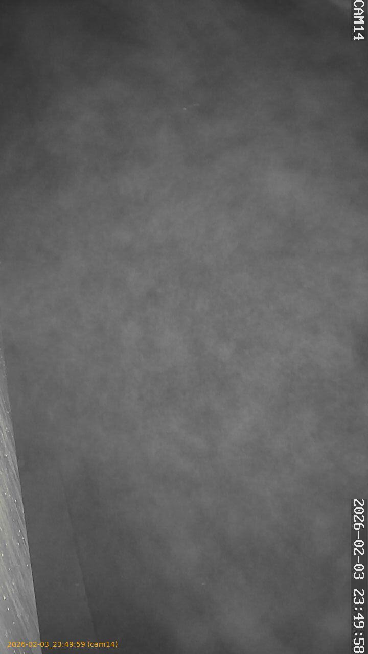 thumbnail_20260203234959