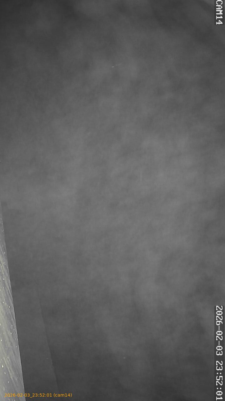 thumbnail_20260203235201