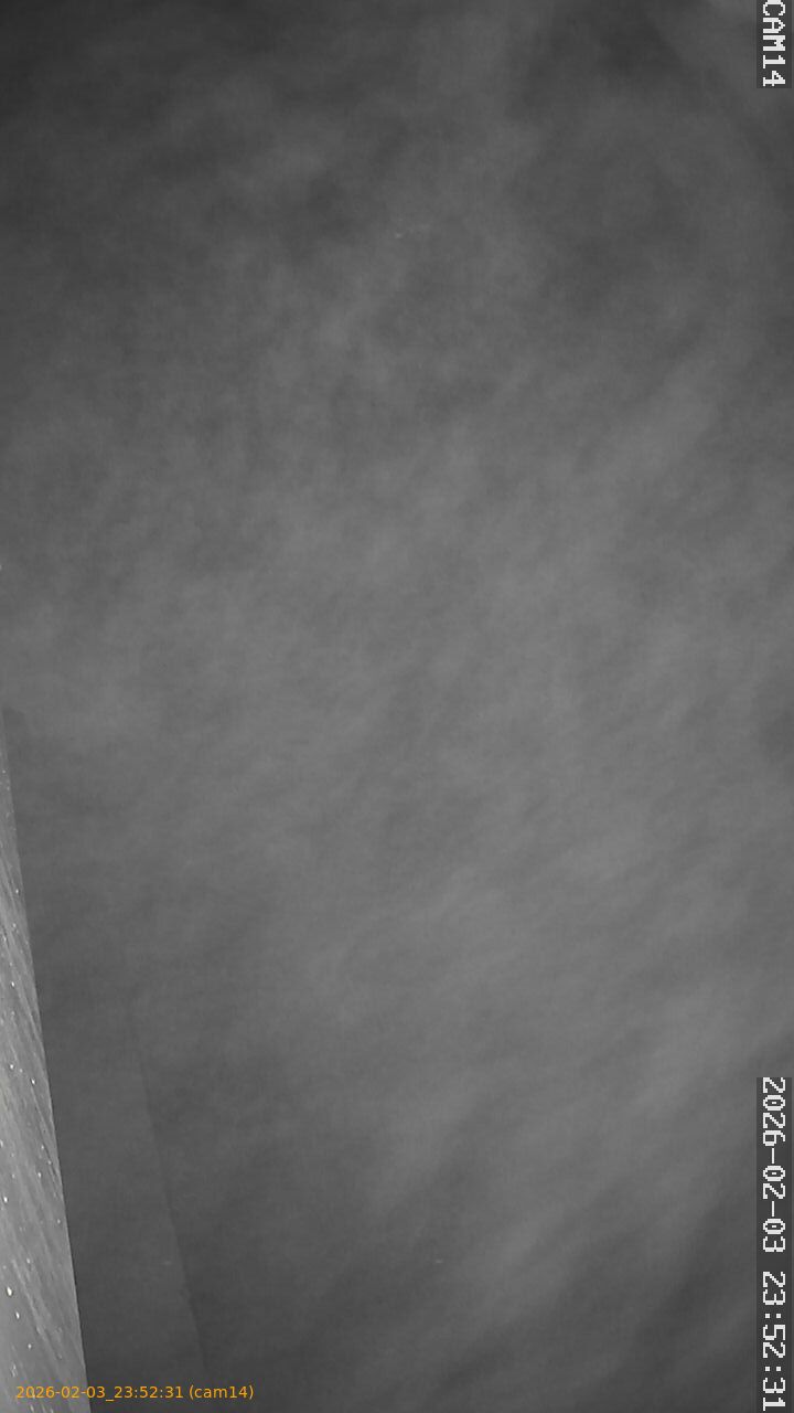 thumbnail_20260203235231