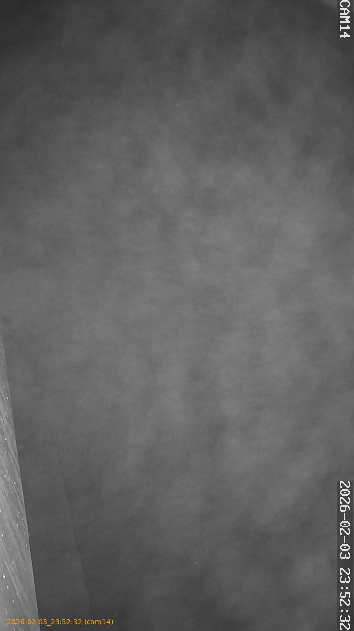 thumbnail_20260203235232