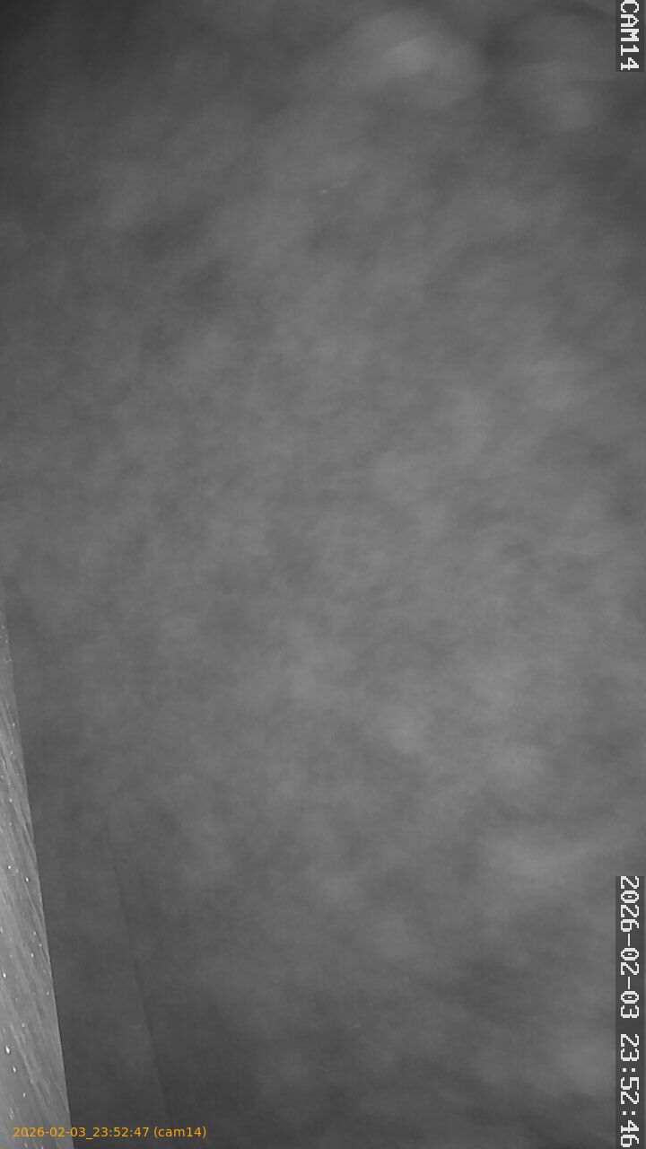 thumbnail_20260203235247