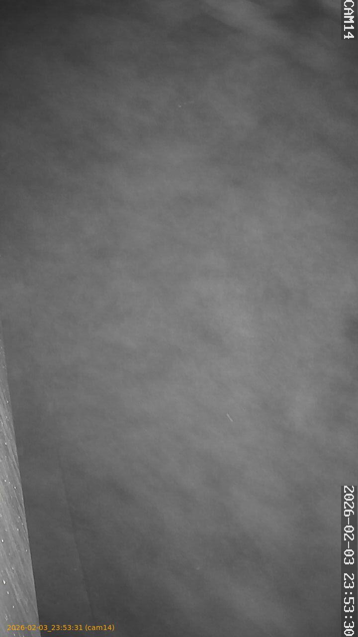 thumbnail_20260203235331