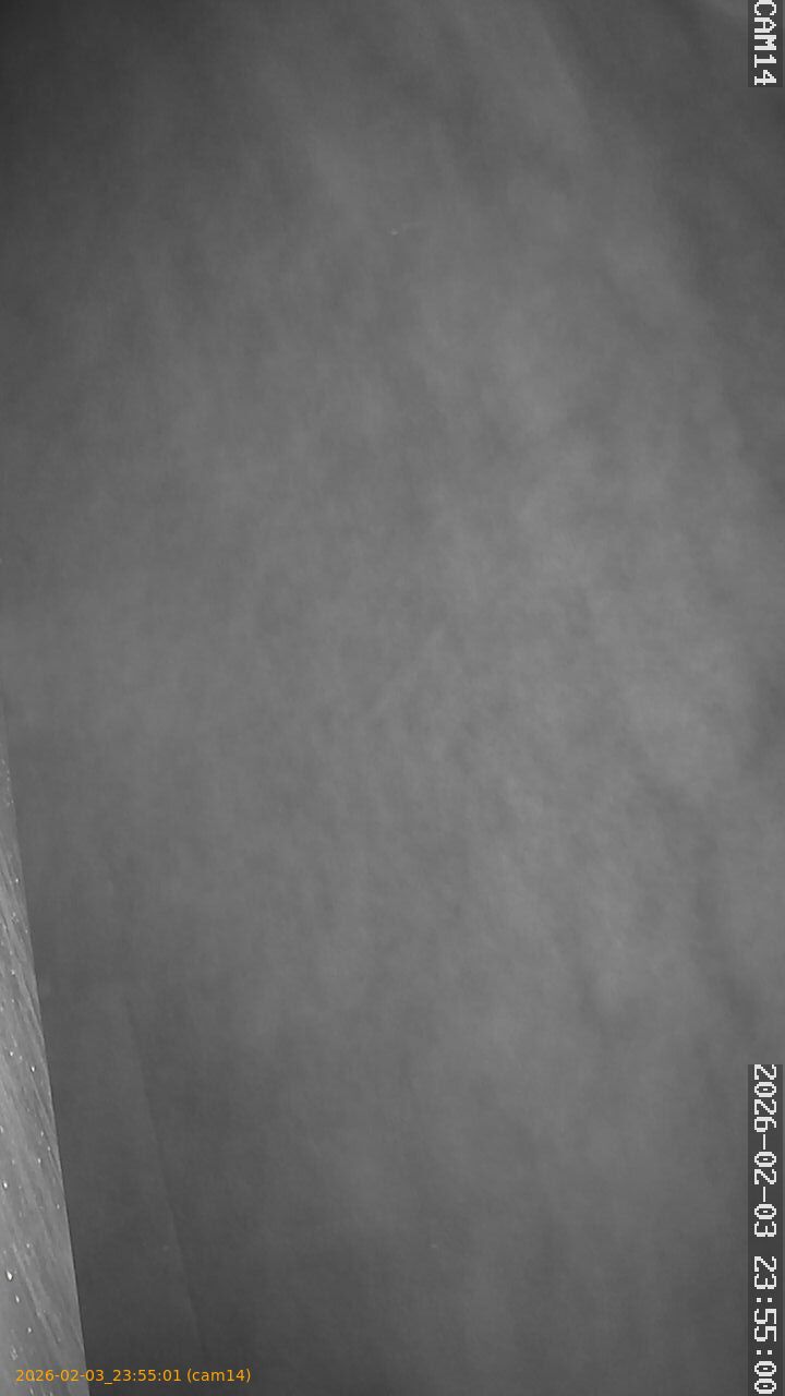 thumbnail_20260203235501