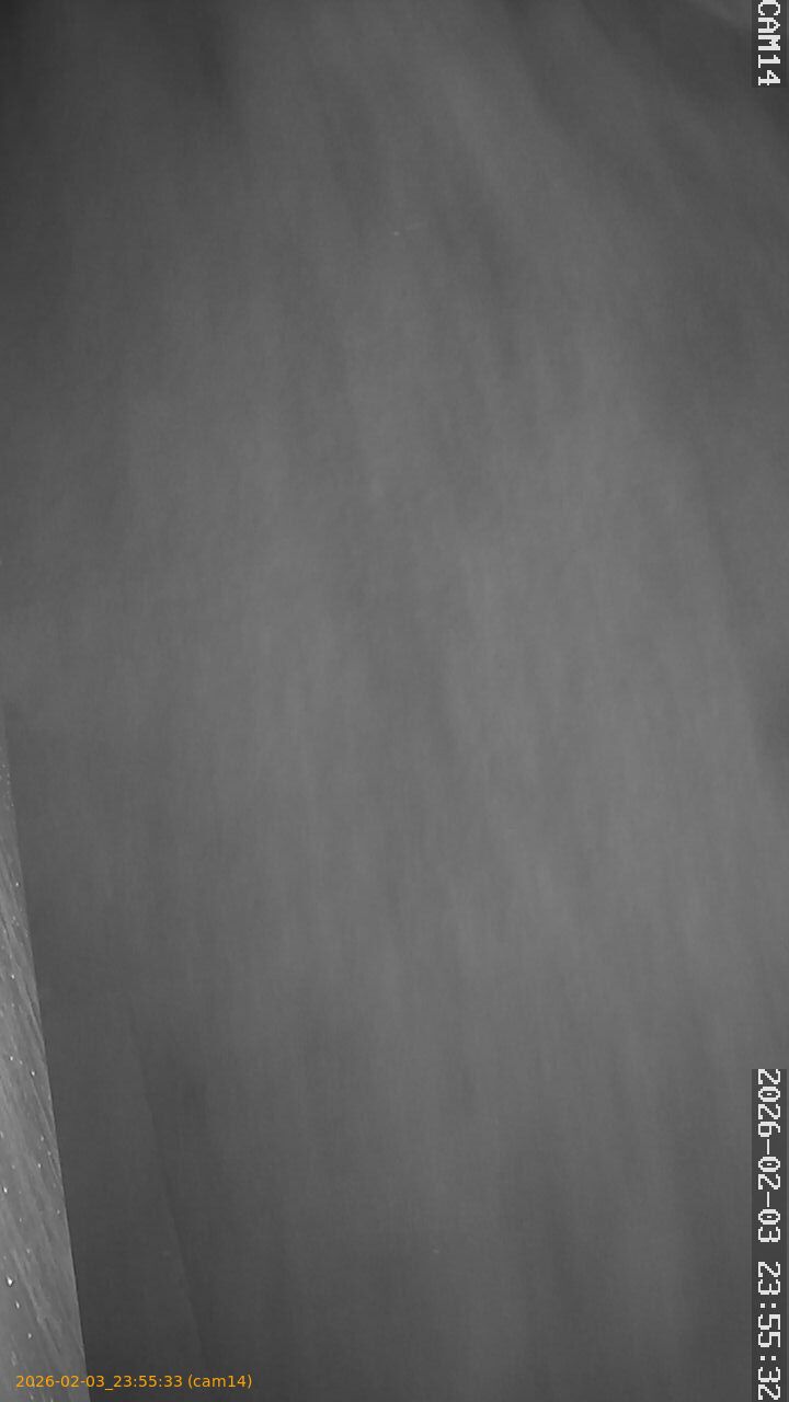 thumbnail_20260203235533