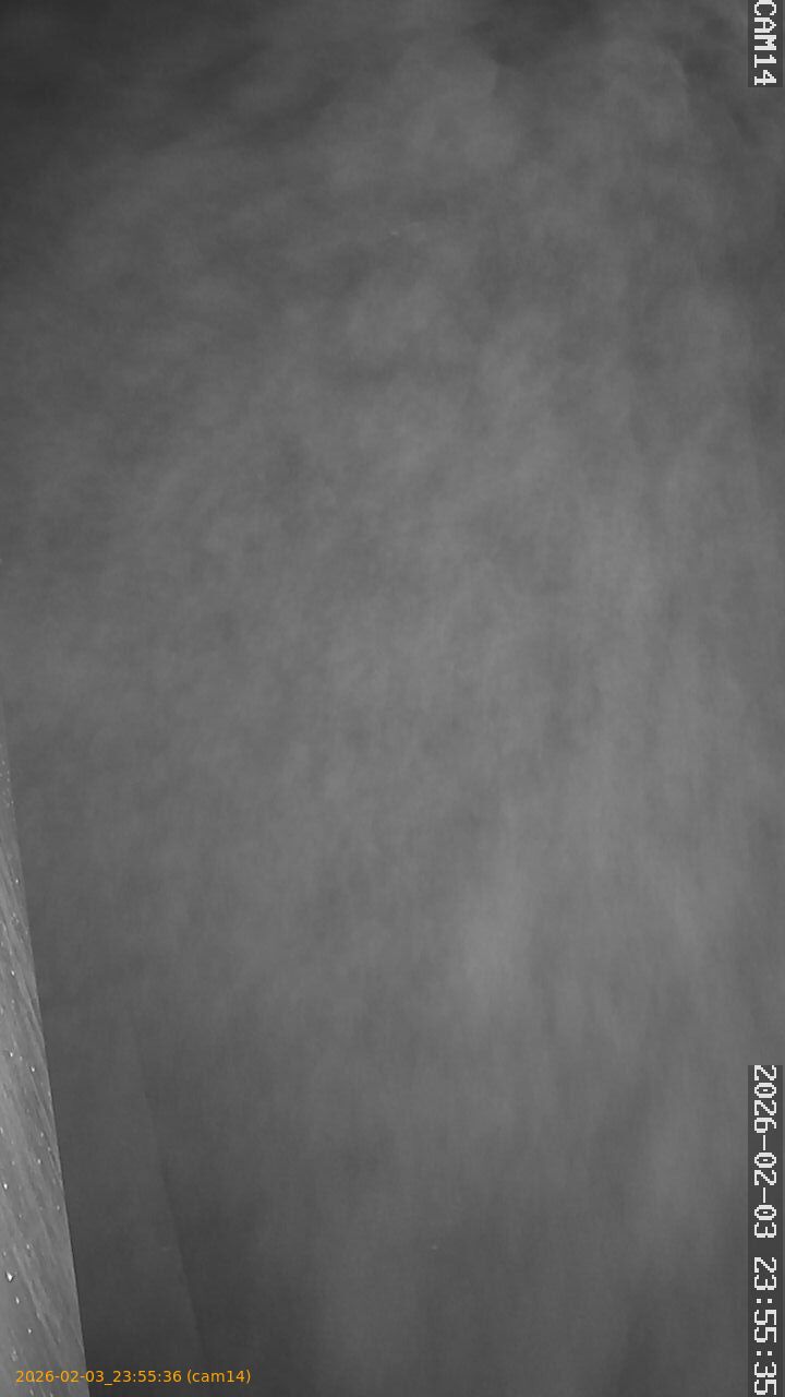 thumbnail_20260203235536