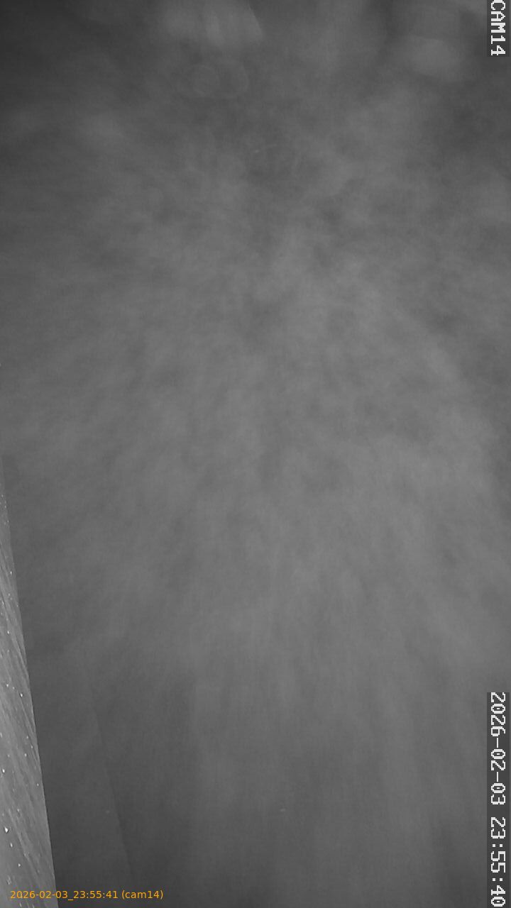 thumbnail_20260203235541