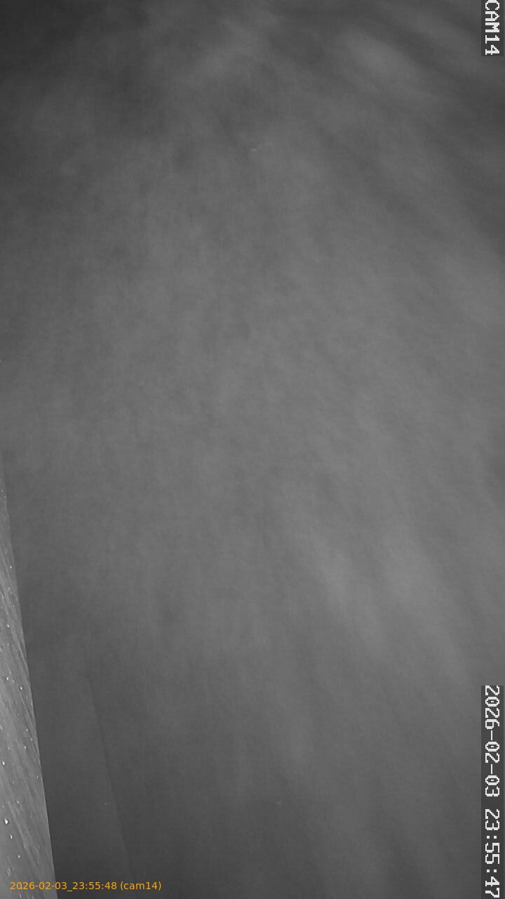 thumbnail_20260203235548