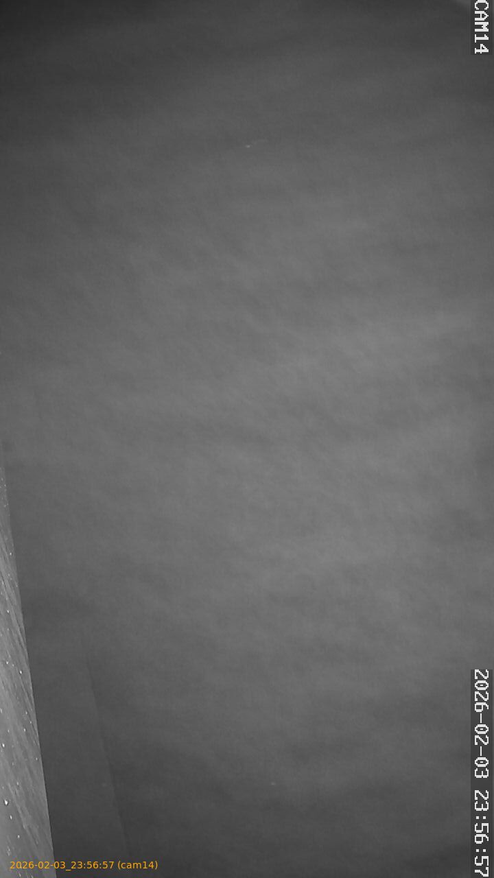 thumbnail_20260203235657