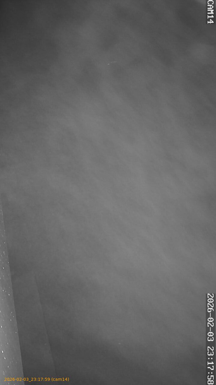 thumbnail_202602032317