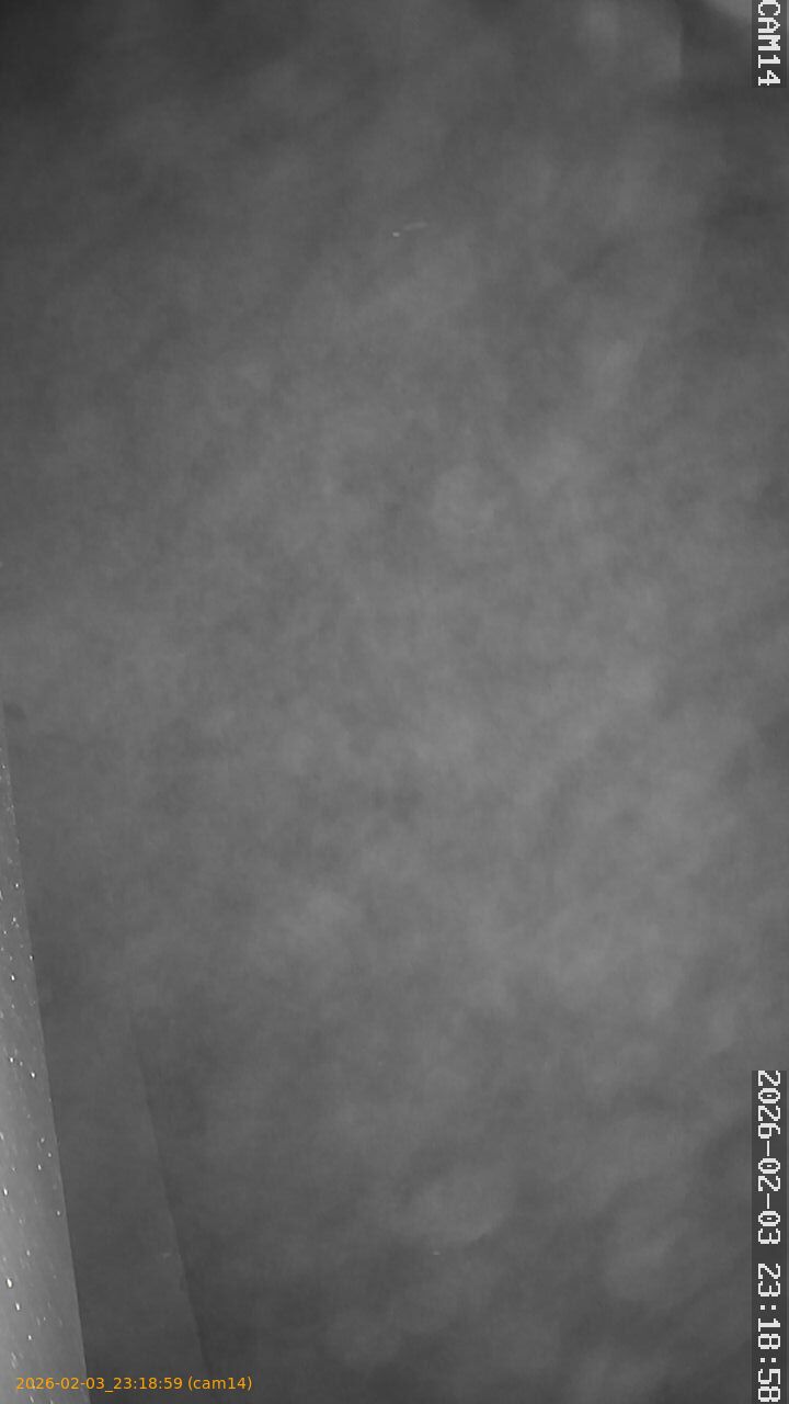 thumbnail_202602032318