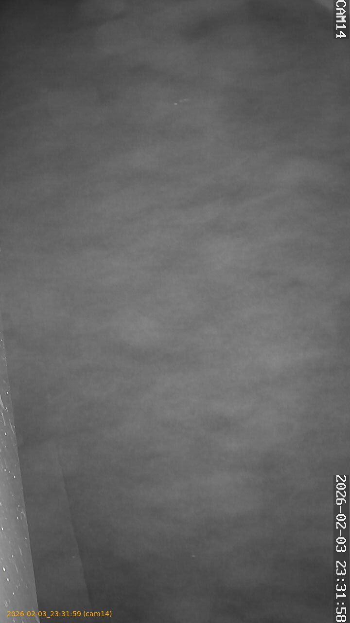 thumbnail_202602032331