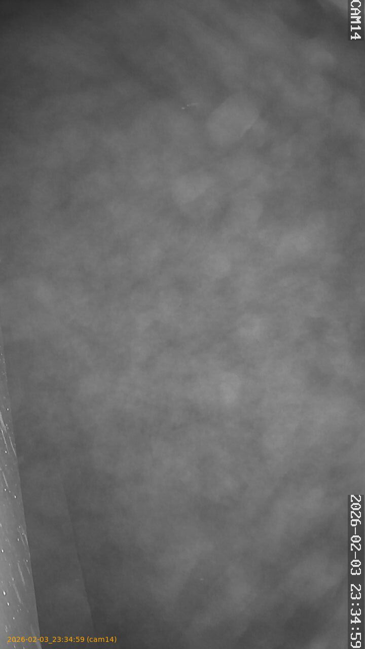 thumbnail_202602032334