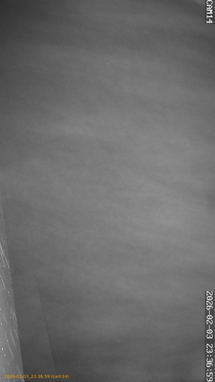 thumbnail_202602032336