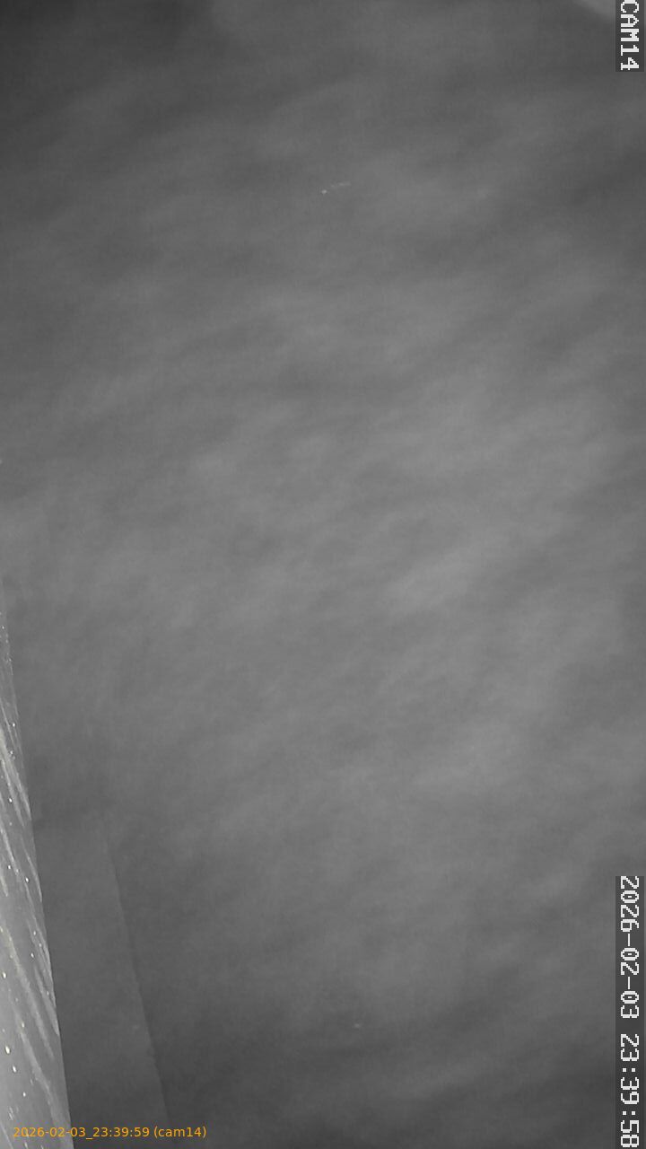 thumbnail_202602032339