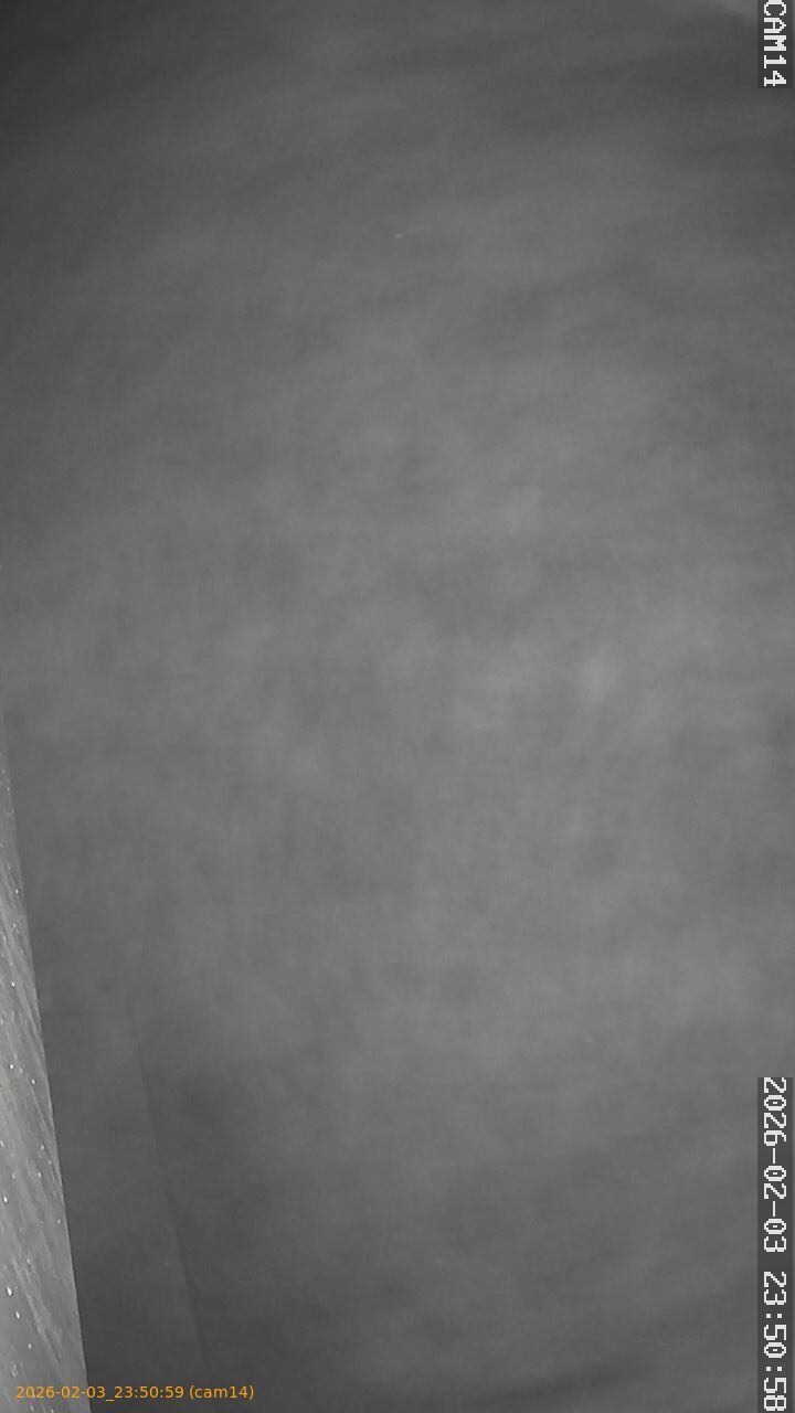 thumbnail_202602032350