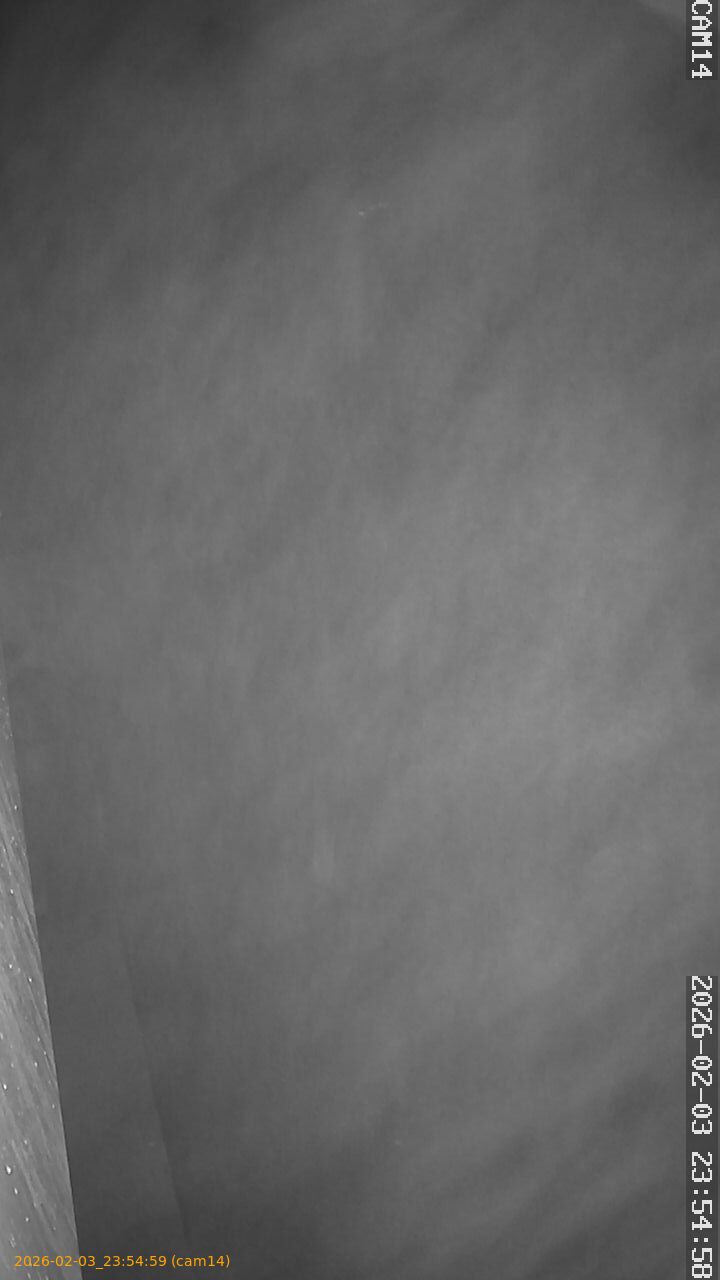 thumbnail_202602032354