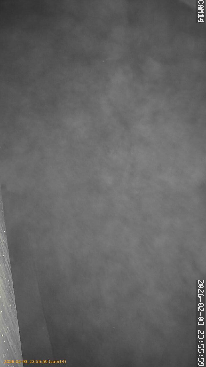 thumbnail_202602032355