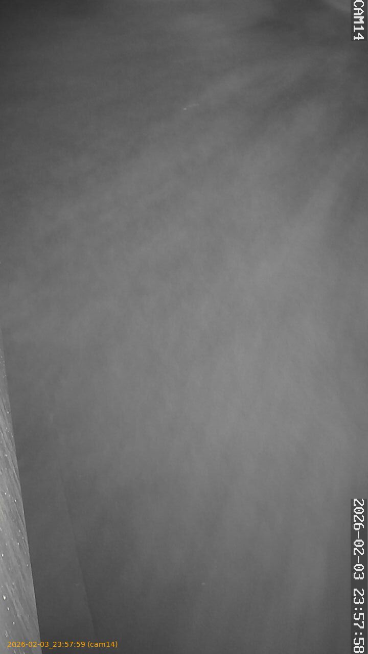 thumbnail_202602032357