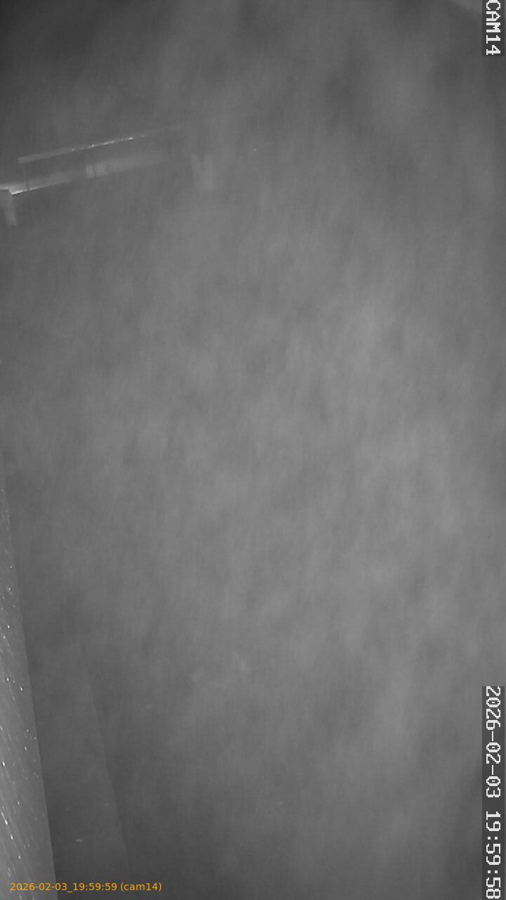 thumbnail_2026020319