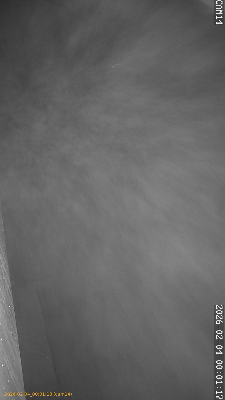 thumbnail_20260204000118