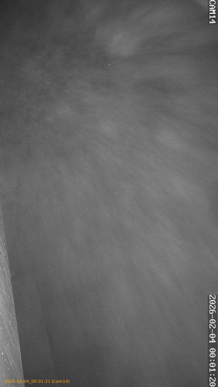 thumbnail_20260204000121