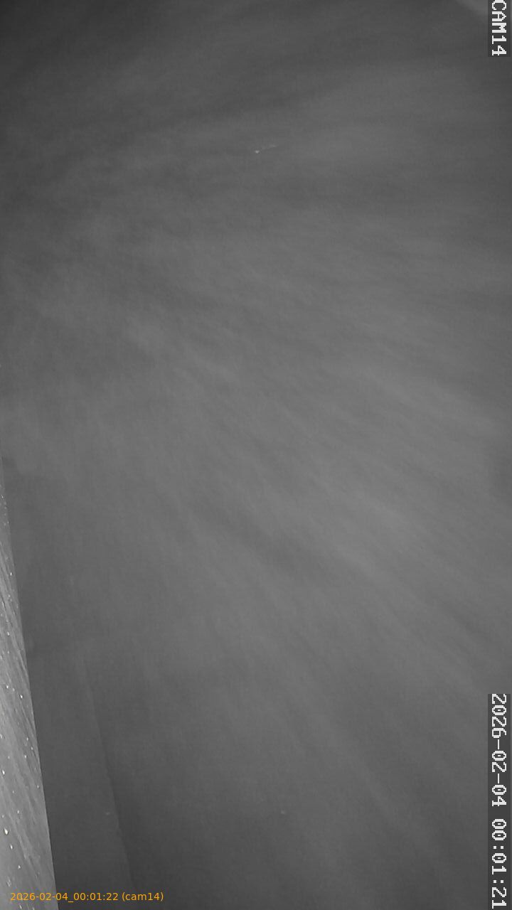 thumbnail_20260204000122