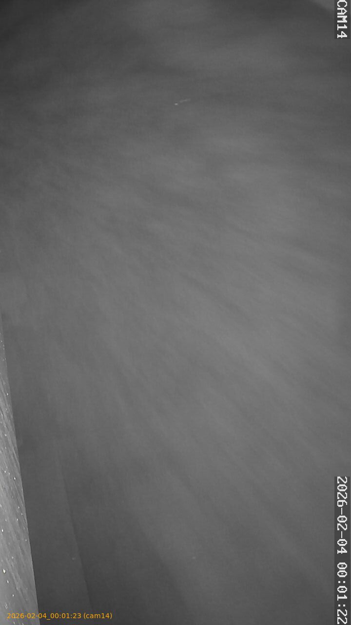 thumbnail_20260204000123