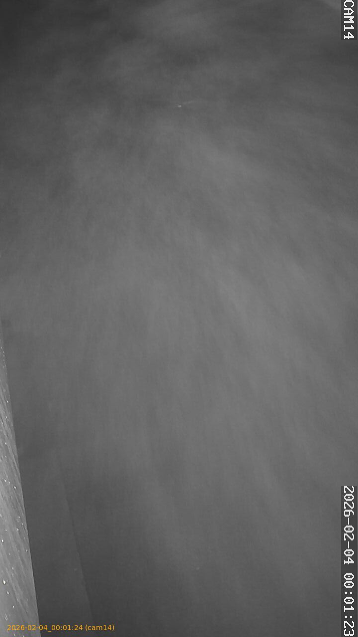 thumbnail_20260204000124