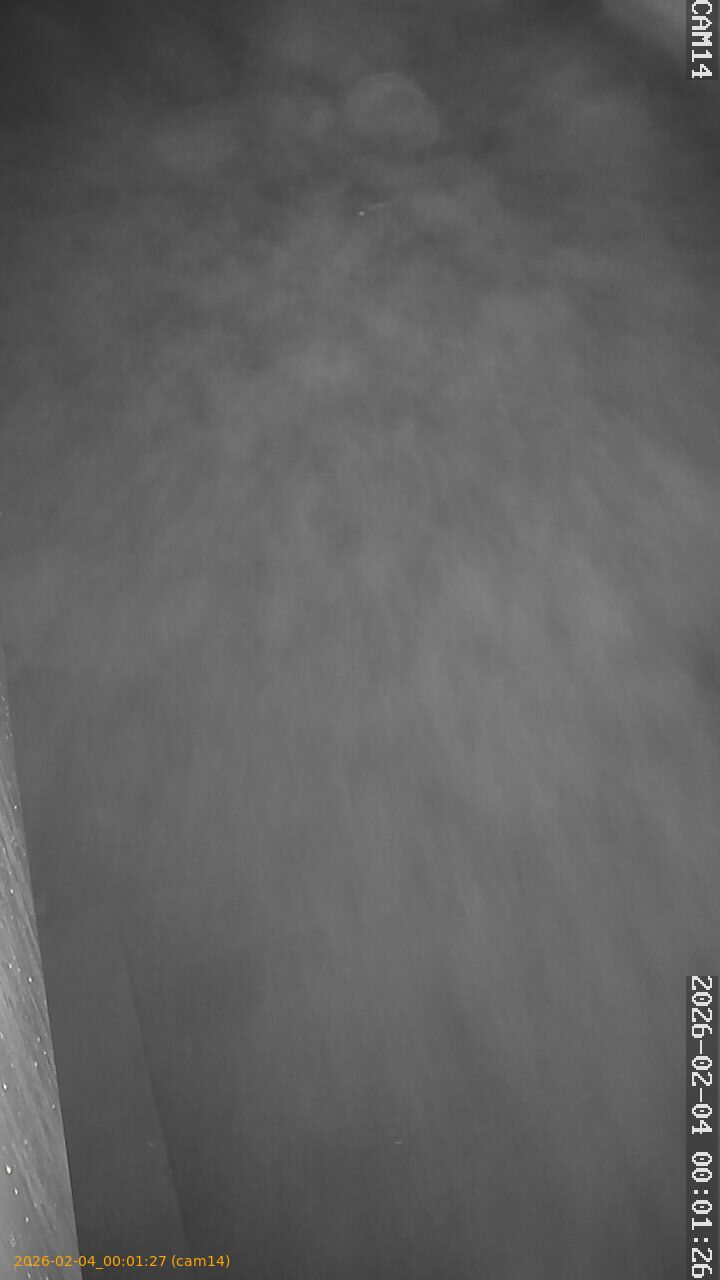 thumbnail_20260204000127