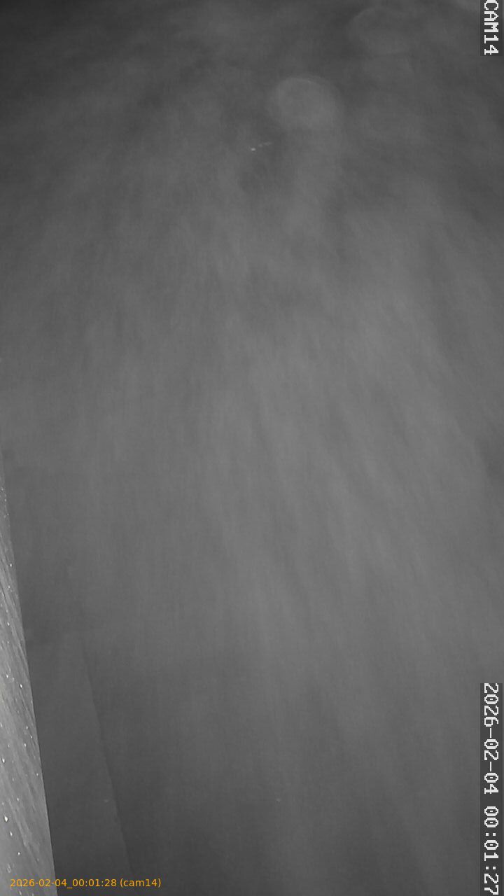 thumbnail_20260204000128