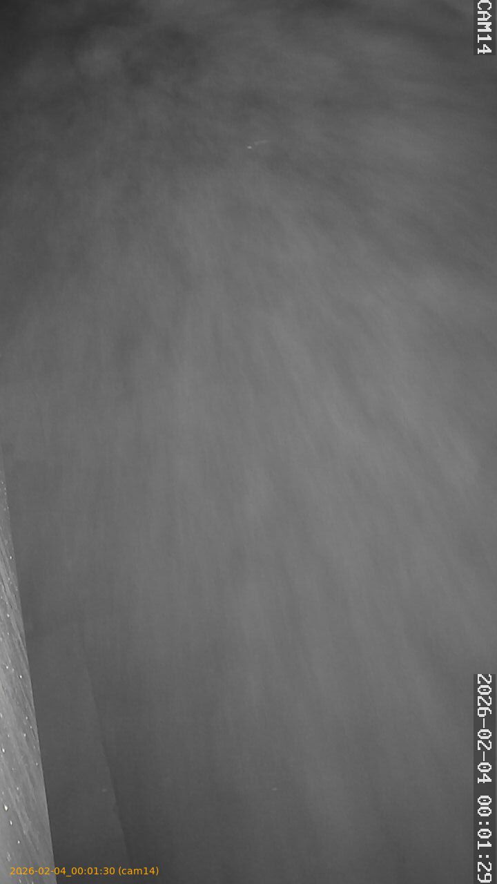 thumbnail_20260204000130