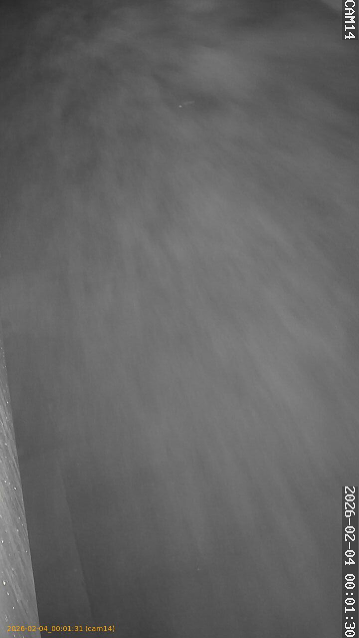 thumbnail_20260204000131