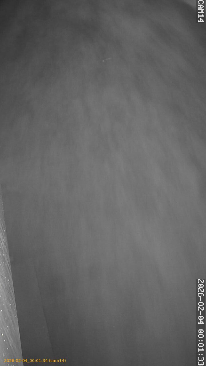 thumbnail_20260204000134