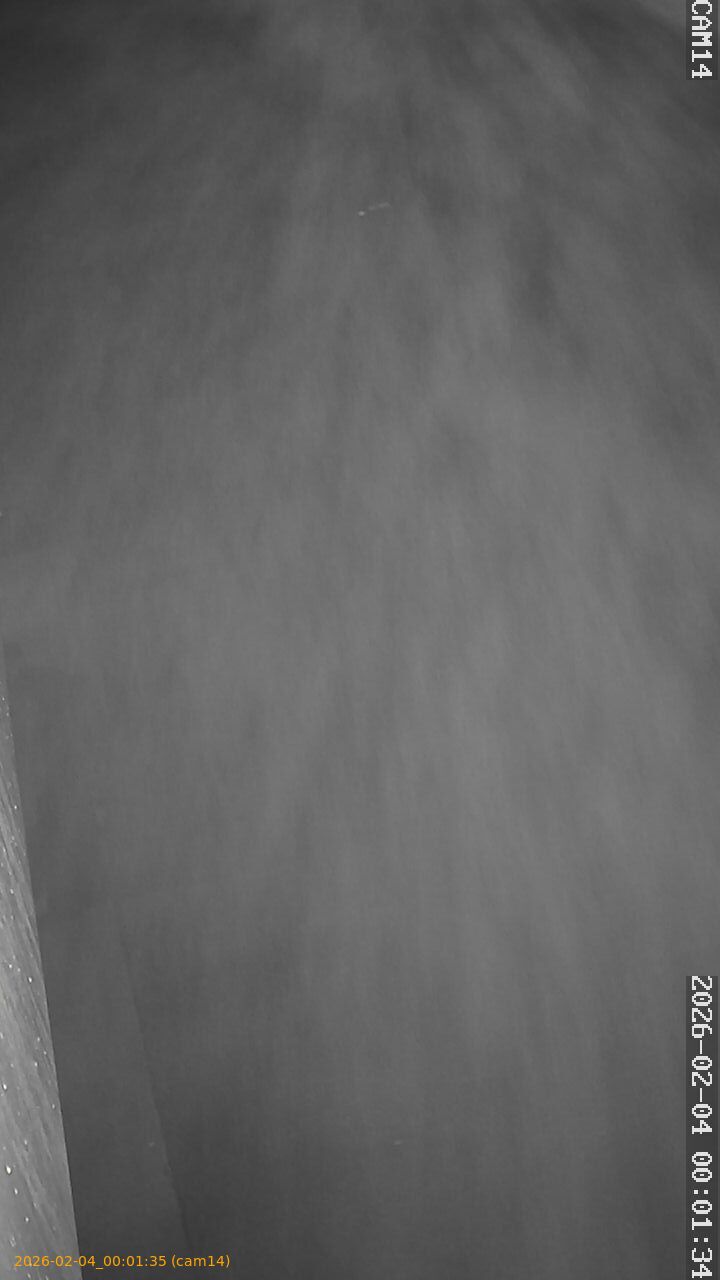 thumbnail_20260204000135