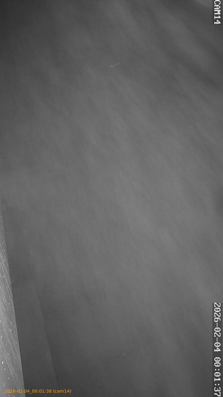 thumbnail_20260204000138