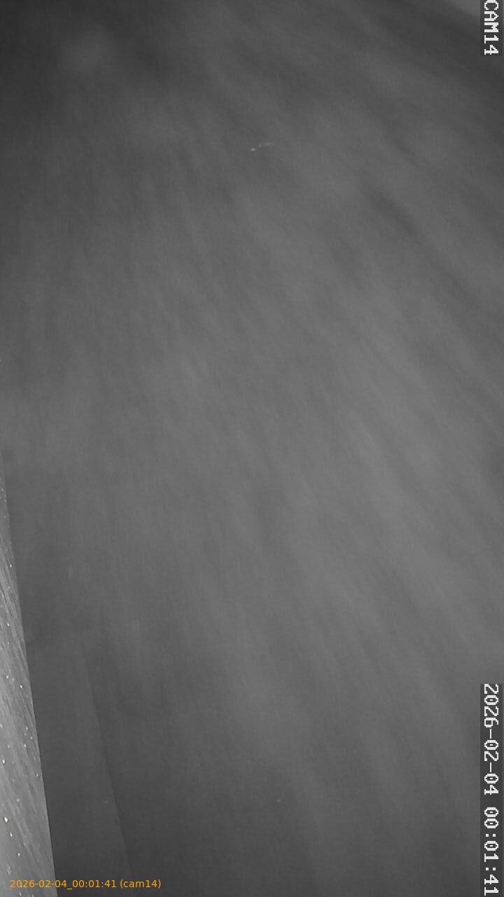 thumbnail_20260204000141