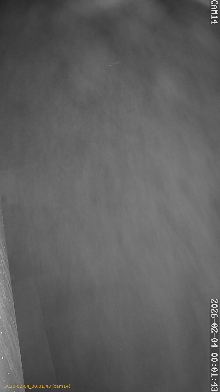 thumbnail_20260204000143