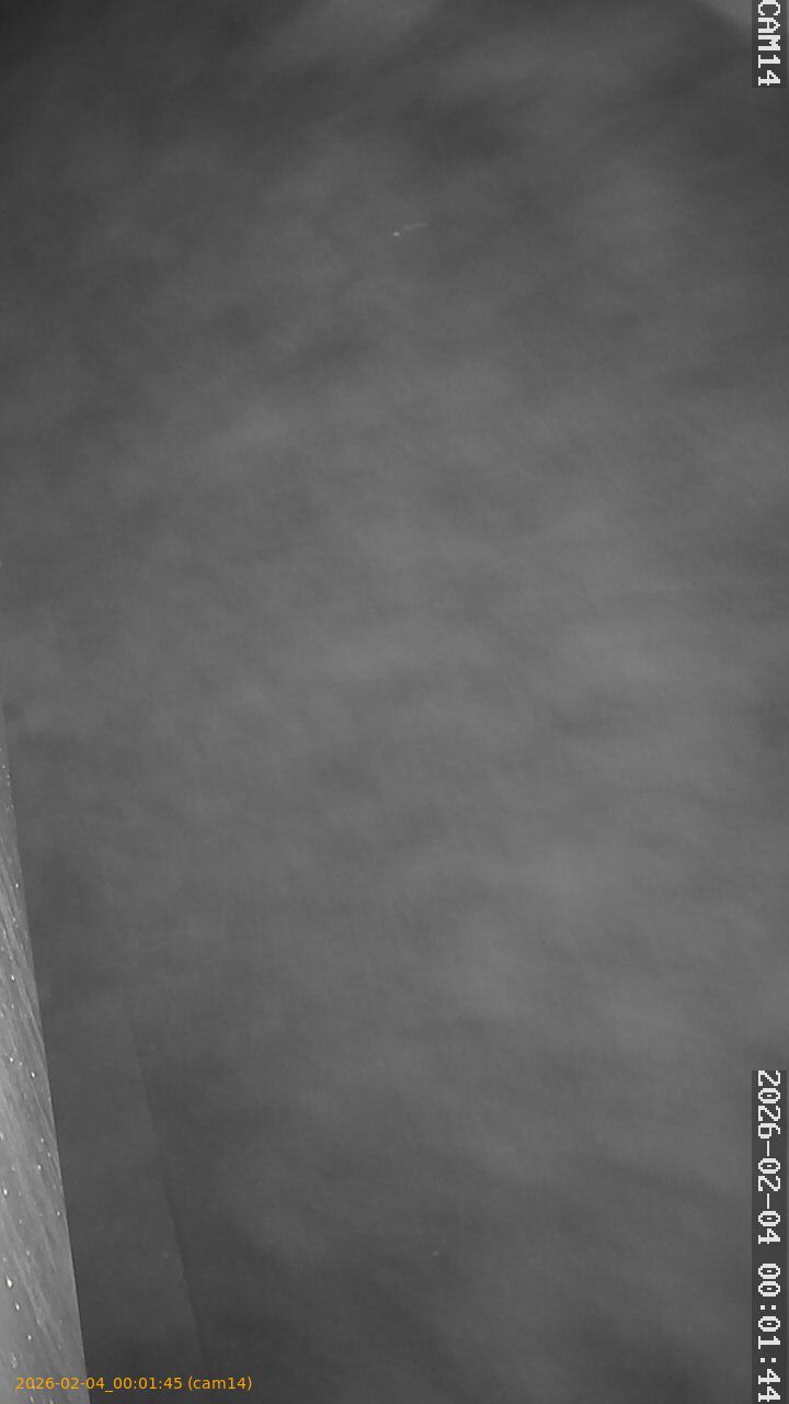 thumbnail_20260204000145