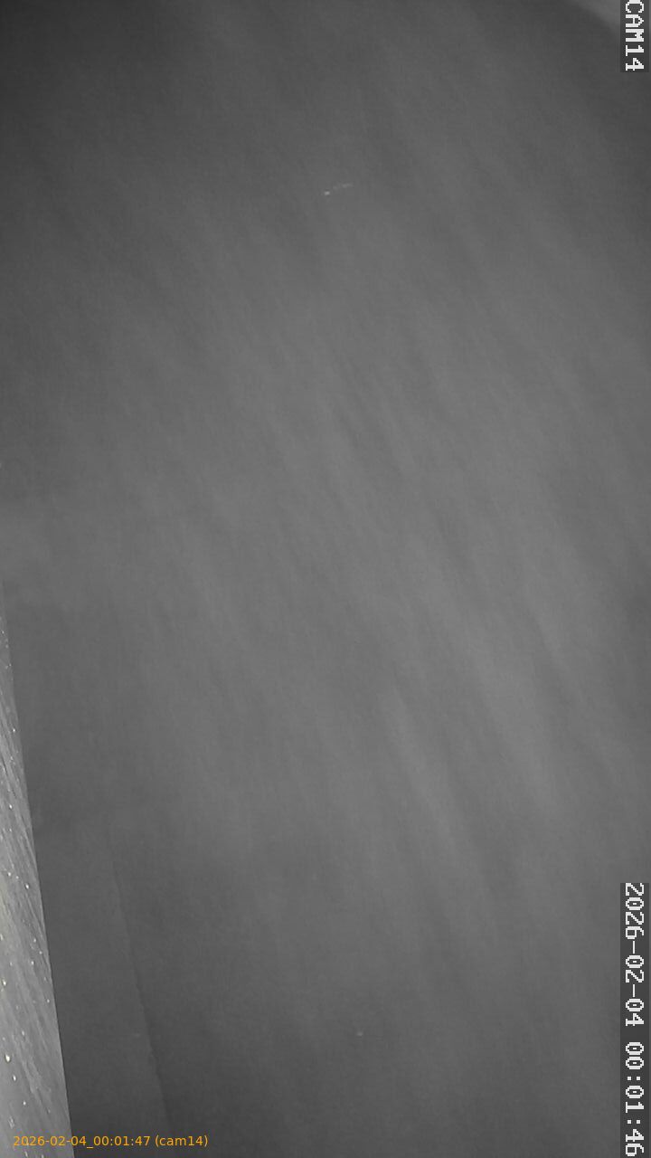 thumbnail_20260204000147