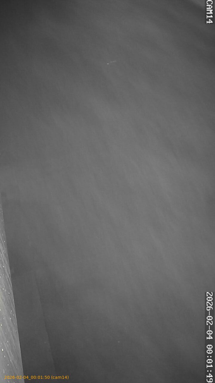 thumbnail_20260204000150